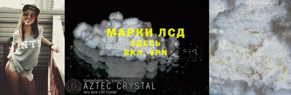 стафф Новозыбков