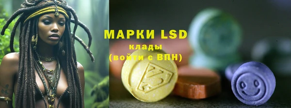 стафф Новозыбков