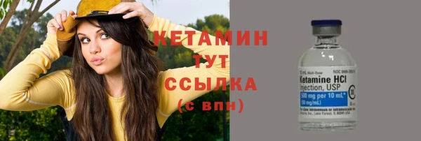 стафф Новозыбков