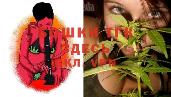 стафф Новозыбков