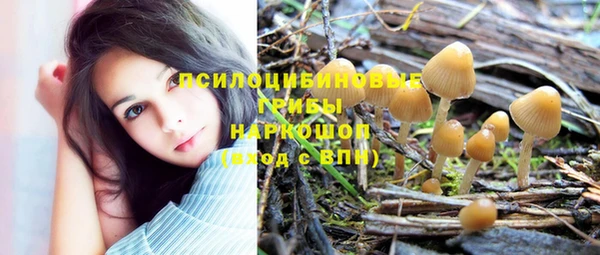 ГАЛЛЮЦИНОГЕННЫЕ ГРИБЫ Нязепетровск