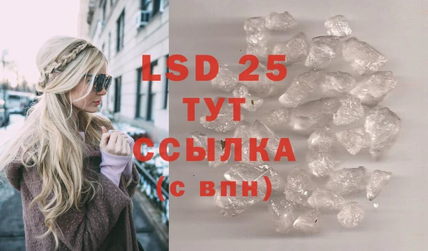 стафф Новозыбков