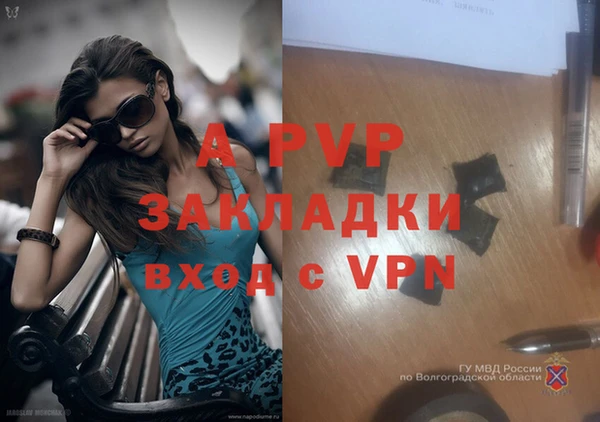 ГАЛЛЮЦИНОГЕННЫЕ ГРИБЫ Няндома