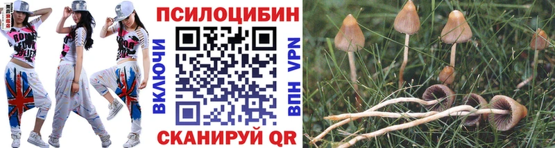 Галлюциногенные грибы мухоморы  Купить где  Западная Двина 